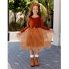 Arshiner Toddler Girls Fall Winter Velvet Dress Irregular Hem Tulle Long Sleeve Dresses Cute Bowknot Clothes(Brown)