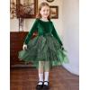 Arshiner Toddler Girls Fall Winter Velvet Dress Irregular Hem Tulle Long Sleeve Dresses Cute Bowknot Clothes(Dark Green)