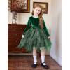 Arshiner Toddler Girls Fall Winter Velvet Dress Irregular Hem Tulle Long Sleeve Dresses Cute Bowknot Clothes(Dark Green)
