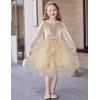 Arshiner Toddler Girls Fall Winter Velvet Dress Irregular Hem Tulle Long Sleeve Dresses Cute Bowknot Clothes(Light Apricot)