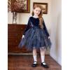 Arshiner Toddler Girls Fall Winter Velvet Dress Irregular Hem Tulle Long Sleeve Dresses Cute Bowknot Clothes(Navy Blue)