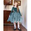 Arshiner Toddler Girls Fall Winter Velvet Dress Irregular Hem Tulle Long Sleeve Dresses Cute Bowknot Clothes(Teal)