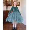 Arshiner Toddler Girls Fall Winter Velvet Dress Irregular Hem Tulle Long Sleeve Dresses Cute Bowknot Clothes(Teal)