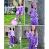 Arshiner 2 Piece Outfits for Girls Velour Tracksuit Hoodie and Jogger Set Sweatsuit Athletic Clothes Sets(Purple)