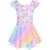 Rainbow Bear