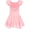 Z_ballet Pink