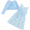 Blue-daisy