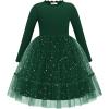 Arshiner Toddler Girl Tutu Dress Fall Winter Long Sleeve Star Sequin Holiday Party Tulle Dresses 2-6Y(Green)