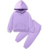 Arshiner Toddler Girl’s 2Pcs Outfits Clothing Sets Long Sleeve Hoodie Sweatshirt Pants Set with Pockets Fall Winter Clothes(Lilac)