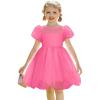 Arshiner Toddler Girls Dress Contrast Mesh Puff Short Sleeve Flowy Bubble Hem Organza Casual Party Dresses Size 2-6(Hot Pink)