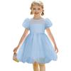 Arshiner Toddler Girls Dress Contrast Mesh Puff Short Sleeve Flowy Bubble Hem Organza Casual Party Dresses Size 2-6(Light Blue)
