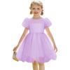 Arshiner Toddler Girls Dress Contrast Mesh Puff Short Sleeve Flowy Bubble Hem Organza Casual Party Dresses Size 2-6(Light Purple)