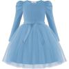 Arshiner Toddler Girls Tutu Dress Gigot Long Sleeves Fall Winter Belted Princess Party Tulle Dresses 3-8Y(Light Blue)