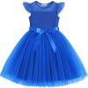 Arshiner Toddler Girls Tutu Dress Summer Contrast Mesh Party Dresses Cute Princess Tulle Sundress with Belt 2-8Y(Royal Blue)