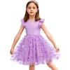 Arshiner Toddler Tutu Dress Little Girls Fluffy Summer Dresses Casual Party Tulle Sundress for Kids 2-6Y(0-butterfly)