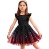 Arshiner Toddler Tutu Dress Little Girls Fluffy Summer Dresses Casual Party Tulle Sundress for Kids 2-6Y(Black Gradient)