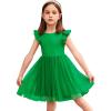 Arshiner Toddler Tutu Dress Little Girls Fluffy Summer Dresses Casual Party Tulle Sundress for Kids 2-6Y(Green)