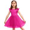 Arshiner Toddler Tutu Dress Little Girls Fluffy Summer Dresses Casual Party Tulle Sundress for Kids 2-6Y(Hot Pink)