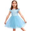 Arshiner Toddler Tutu Dress Little Girls Fluffy Summer Dresses Casual Party Tulle Sundress for Kids 2-6Y(Light Blue)