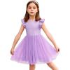 Arshiner Toddler Tutu Dress Little Girls Fluffy Summer Dresses Casual Party Tulle Sundress for Kids 2-6Y(Lilac)