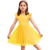 Arshiner Toddler Tutu Dress Little Girls Fluffy Summer Dresses Casual Party Tulle Sundress for Kids 2-6Y(Yellow-)