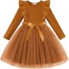 Arshiner Toddler Tutu Dress Little Girls Long Sleeve Casual Tulle Kids Fall Winter Outfits with Ribbon(Brown)