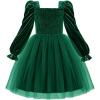Arshiner Toddler Velvet Tutu Dress Tulle Puff Long Sleeve Square Neck Smocked Fall Winter Formal Party Birthday Dresses(Green)