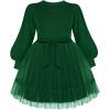 Arshiner Tulle Dress Toddler Girls Puff Long Lantern Sleeves Fall Winter Tutu Party Dresses with Tie Belt 3-8Y(Dark Green)