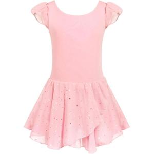 Arshiner Girls Ruffle Sleeve Ballet Dance Dress Tutu Skirted Leotard(Ballet Pink)