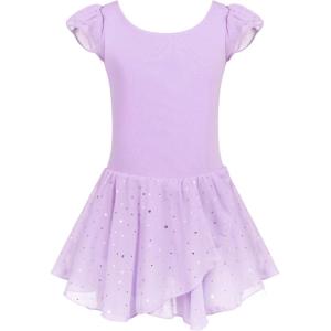 Arshiner Girls Ruffle Sleeve Ballet Dance Dress Tutu Skirted Leotard(Lilac)