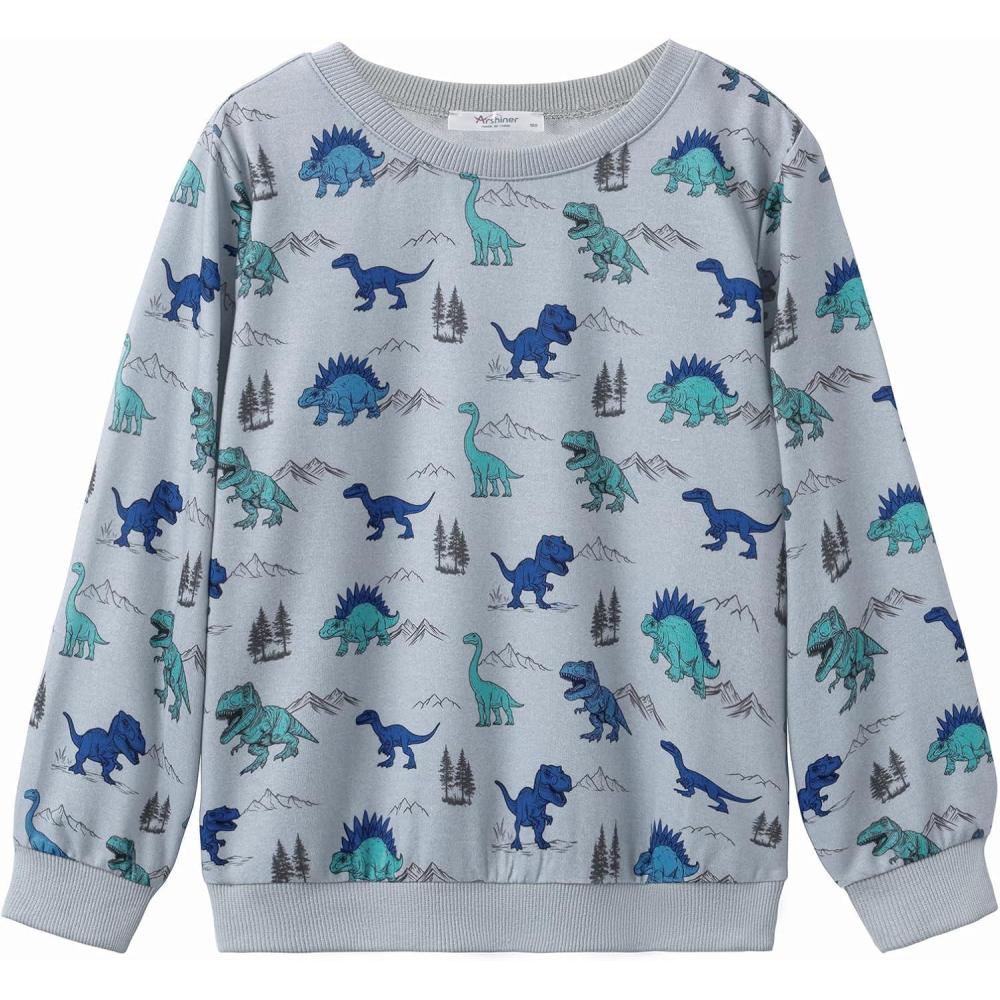 imageArshiner Toddler Boy Crewneck Sweatshirt Long Sleeve Pullover Graphic Shirts for Kid Fall Tops Tees 210 YearsGrey Dinosaur