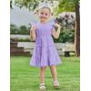 Arshiner Toddler Girls Dress Ruffle Sleeveless Tiered Swing Twirly Dresses Cute Summer Beach Sundress with Pocket for 1-6T(Purple)
