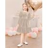 Arshiner Toddler Velvet Dress Girls Puff Long Sleeves Crew Neck Party Fall Winter Ruffle Dresses with Pockets 2-8Y(Champagne)