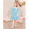 Arshiner Toddler Velvet Dress Girls Puff Long Sleeves Crew Neck Party Fall Winter Ruffle Dresses with Pockets 2-8Y(Light Blue)