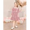 Arshiner Toddler Velvet Dress Girls Puff Long Sleeves Crew Neck Party Fall Winter Ruffle Dresses with Pockets 2-8Y(Pink)