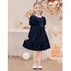 Arshiner Toddler Velvet Dress Girls Puff Long Sleeves Crew Neck Party Fall Winter Ruffle Dresses with Pockets 2-8Y(Sequins Blue)