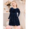 Arshiner Toddler Velvet Dress Girls Puff Long Sleeves Crew Neck Party Fall Winter Ruffle Dresses with Pockets 2-8Y(Sequins Blue)