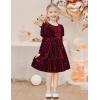 Arshiner Toddler Velvet Dress Girls Puff Long Sleeves Crew Neck Party Fall Winter Ruffle Dresses with Pockets 2-8Y(Sequins Burgundy)