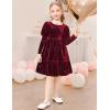 Arshiner Toddler Velvet Dress Girls Puff Long Sleeves Crew Neck Party Fall Winter Ruffle Dresses with Pockets 2-8Y(Sequins Burgundy)