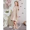 Arshiner Toddler Velvet Dress Little Girls Fall Winter Long Sleeve Ruffle Holiday Birthday Party Dresses with Pockets(Champagne)