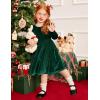 Arshiner Toddler Velvet Dress Little Girls Fall Winter Long Sleeve Ruffle Holiday Birthday Party Dresses with Pockets(Green)