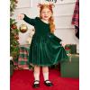Arshiner Toddler Velvet Dress Little Girls Fall Winter Long Sleeve Ruffle Holiday Birthday Party Dresses with Pockets(Green)