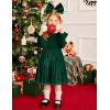 Arshiner Toddler Velvet Dress Little Girls Fall Winter Long Sleeve Ruffle Holiday Birthday Party Dresses with Pockets(Green)