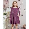 Arshiner Toddler Velvet Dress Little Girls Fall Winter Long Sleeve Ruffle Holiday Birthday Party Dresses with Pockets(Purple)
