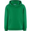 Arshiner Boys Hooded Sweatshirt Fleece Pullover Long Sleeve Warm Hoodies with Pocket for Kids 5-14 Years(Green)