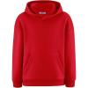 Arshiner Boys Hooded Sweatshirt Fleece Pullover Long Sleeve Warm Hoodies with Pocket for Kids 5-14 Years(Red)
