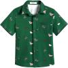 Arshiner Boys Short Sleeve Dress Shirts Solid Button Down Shirts Summer Formal Uniform Shirt with Pocket(Green Teddy)