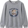 Gray Teddy Bear