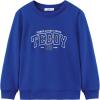 Navy Blue Teddy Bear