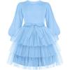 Arshiner Toddler Dress Little Girls Tutu Fall Winter Puff Long Sleeve Princess Party Tulle Dresses(Light Blue)